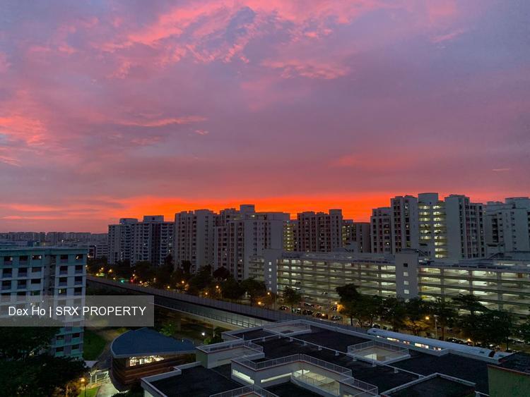 Blk 339B Sembawang Close (Sembawang), HDB Executive #207144731